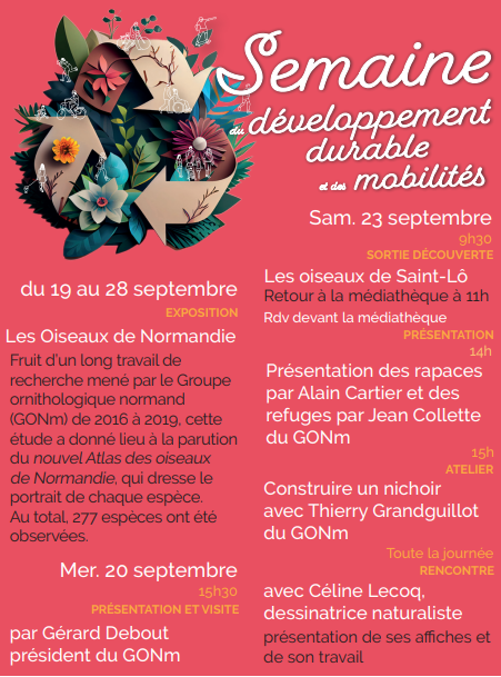 flyer
