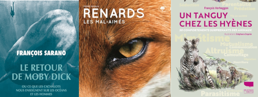 BD en stock