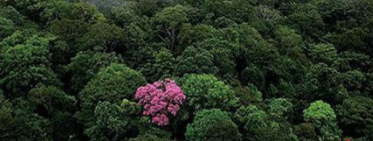 le hip hop a saint lo don t stop