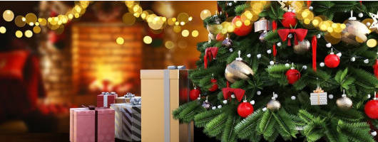 offrez des livres a noel